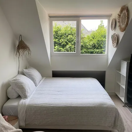 Buissant Des Amorie! *