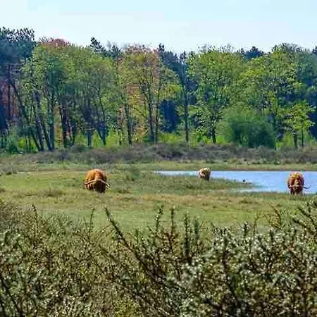 Buissant Des Amorie! Apartamento Castricum